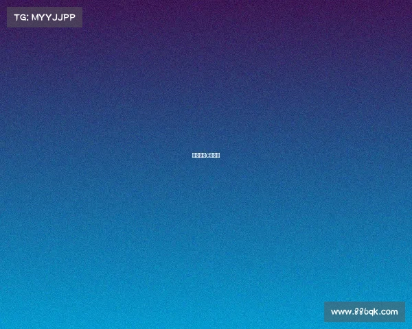 自由搏击c级赛事