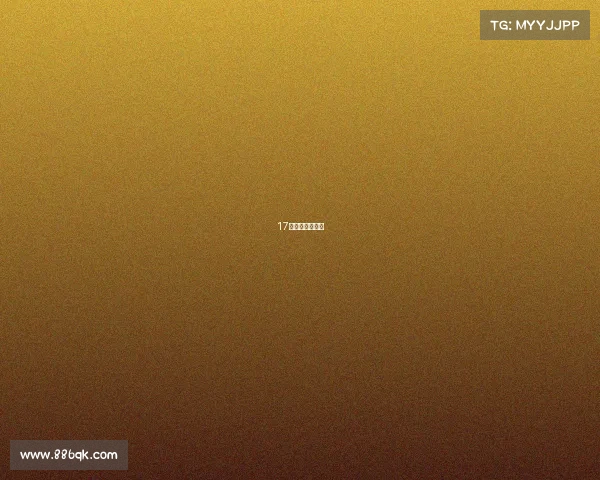 17年美网男单冠军